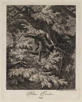 KG 01077
          <br/>
          Entwurf einiger Thiere. Fünfter Theil. (18 bladen)
          <br/>
          <em>Ridinger, Johann Elias (1698-1767)</em>